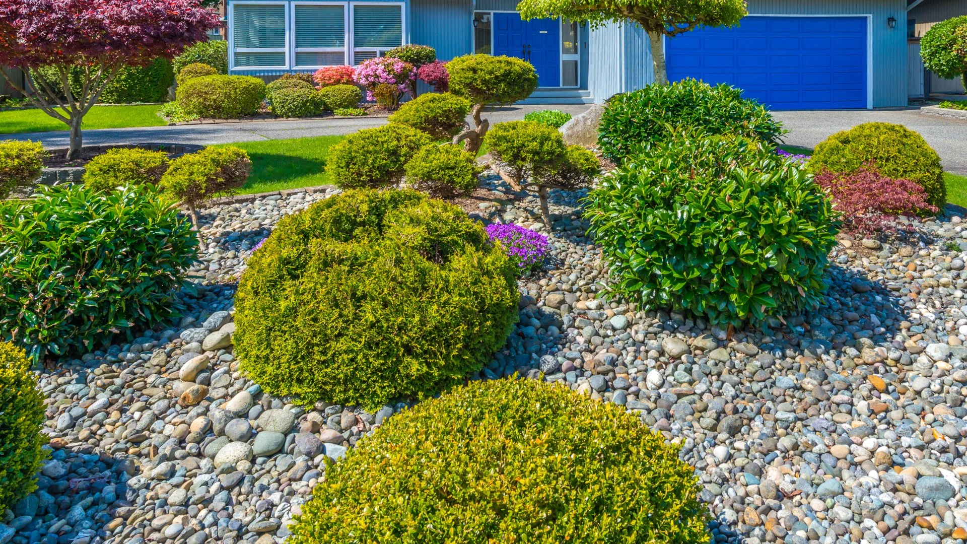 Lawn with green bushes in front of a blue house in Longmont, CO