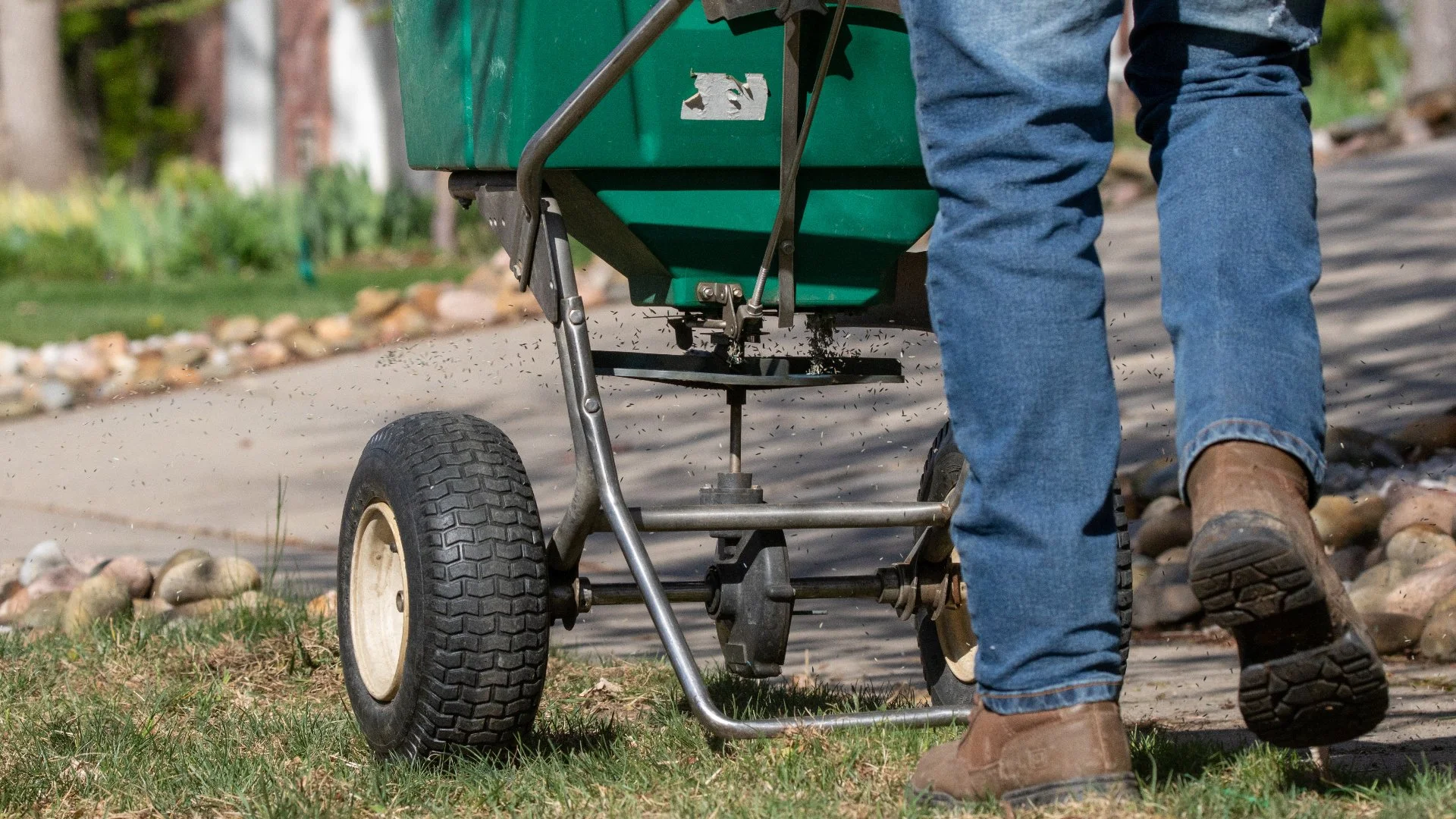 Lawn mowing process in Longmont, CO